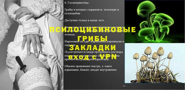 спайс Липки