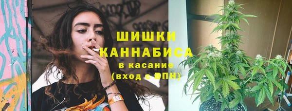 тгк Лиски