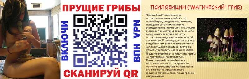 Галлюциногенные грибы Cubensis  сколько стоит  Химки 