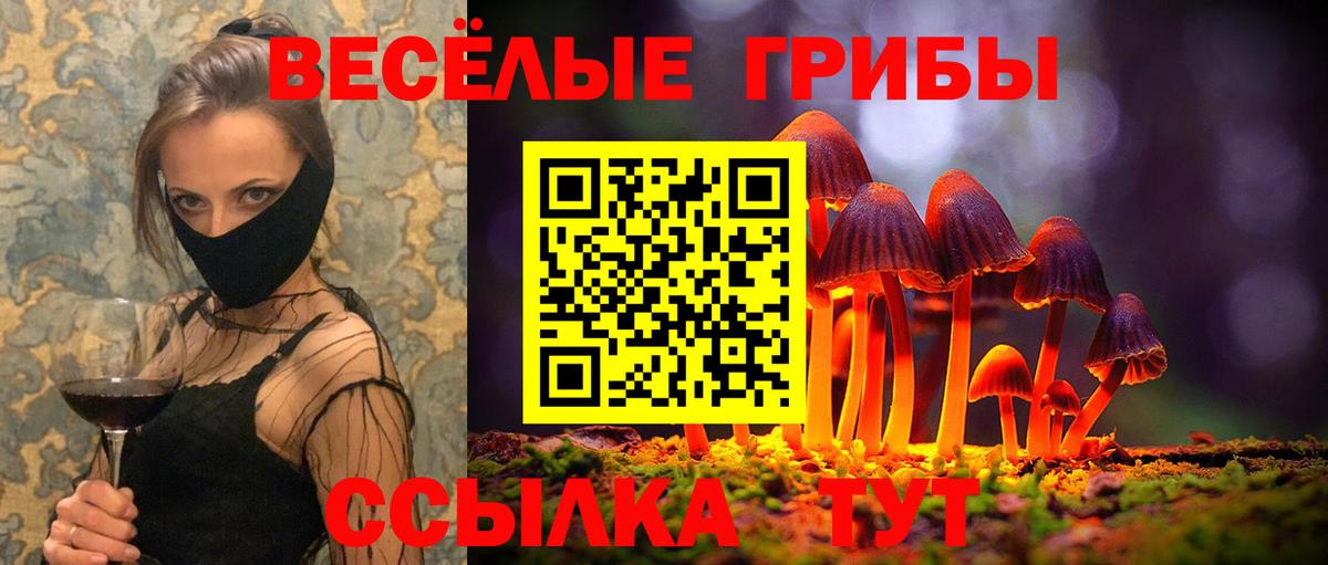 Химки  Псилоцибиновые грибы ЛСД  Псилоцибиновые грибы ЛСД  Вход с VPN 